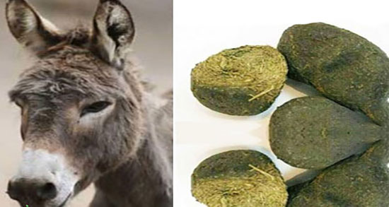 خواص و مضرات عنبر نسا ؛ ایا خوردن عنبر نسا برای عفونت گلو خوبه