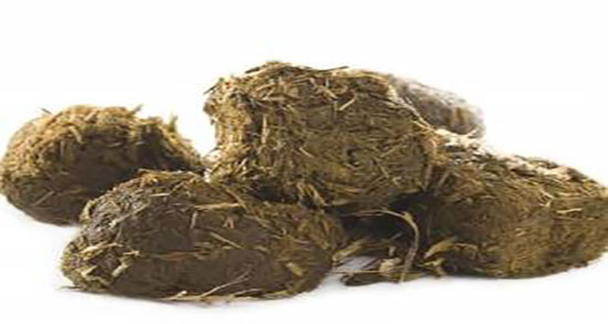 خواص و مضرات عنبر نسارا ؛ فواید و عوارض مصرف عنبر نسارا برای بدن