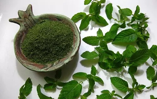 خواص و مضرات نعناع فلفلی و همه چیز درباره نعناع فلفلی خواص و مضرات نعناع فلفلی ؛ همه چیز درباره نعناع فلفلی