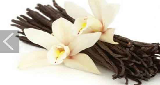 خواص وانیل برای پوست ؛ خاصیت وانیل برای تقویت پوست صورت خواص وانیل برای پوست ؛ خاصیت وانیل برای تقویت پوست صورت