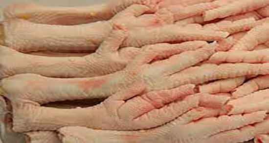 خواص پای مرغ برای پوست صورت و مصرف پای مرغ برای پوست صورت خواص پای مرغ برای پوست صورت ؛ مصرف پای مرغ برای پوست صورت