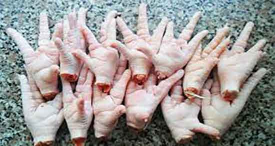 خواص پای مرغ در بدنسازی و فواید مصرف پای مرغ برای ورزشکاران خواص پای مرغ در بدنسازی ؛ فواید مصرف پای مرغ برای ورزشکاران