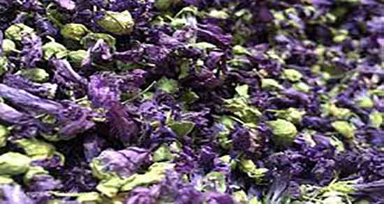 خواص پنیرک و ختمی و فواید دمنوش پنیرک و گل ختمی برای کلیه خواص پنیرک و ختمی ؛ فواید دمنوش پنیرک و گل ختمی برای کلیه