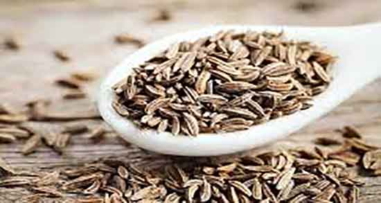 خواص چهار زیره برای معده ؛ فواید مصرف چهار زیره برای درمان زخم معده