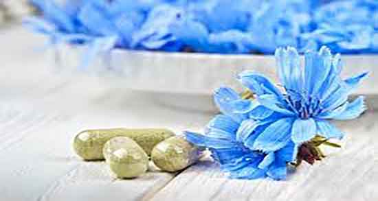 خواص کاسنی برای دستگاه گوارش ؛ فواید مصرف کاسنی برای تنگی نفس