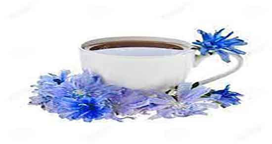 خواص کاسنی برای سرطان ؛ فواید مصرف کاسنی برای درمان سرطان