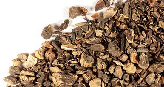 خواص کوهوش سیاه ؛ برای بارداری و طریقه مصرف و عکس گیاه کوهوش سیاه