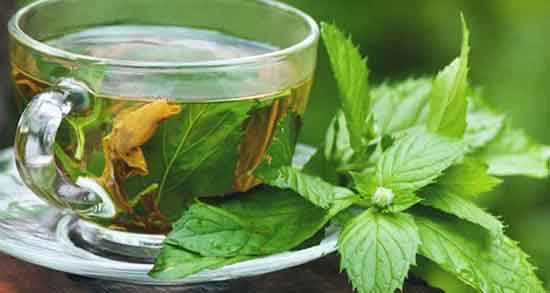 خواص گزنه در طب سنتی ؛ فواید مصرف گیاه گزنه از نظر طب سنتی