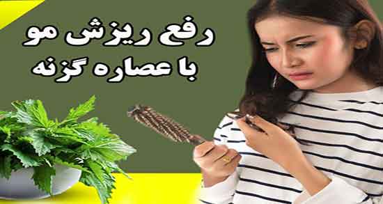 خواص گزنه و طریقه مصرف ؛ فواید مصرف عرق گزنه و دستور استفاده از ان
