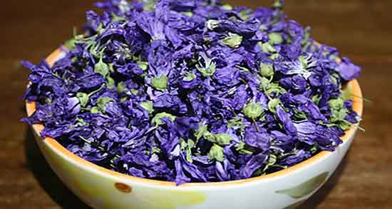 خواص گل ختمی برای عفونت زنان ؛ خاصیت درمانی گل ختمی برای درمان عفونت زنان