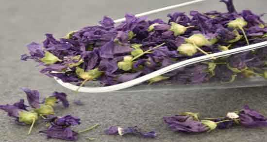 خواص گل ختمی برای قاعدگی و درمان دردهای قاعدگی با دمنوش گل ختمی خواص گل ختمی برای قاعدگی ؛ درمان دردهای قاعدگی با دمنوش گل ختمی