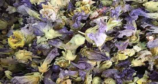 خواص گل ختمی و بابونه و آشنایی با خاصیت دارویی گل ختمی و بابونه خواص گل ختمی و بابونه ؛ آشنایی با خاصیت دارویی گل ختمی و بابونه