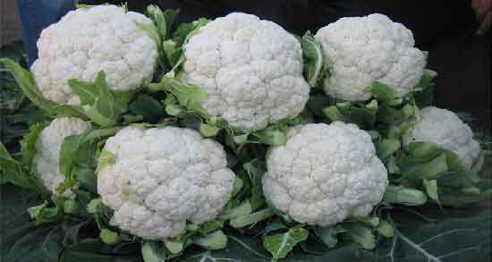 خواص گل کلم برای سهره ؛ بررسی خواص و ارزش غذایی گل کلم برای سهره