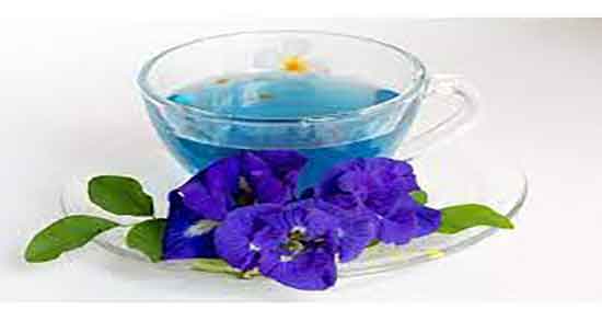 خواص گل گندم در طب سنتی ؛ خاصیت استفاده از گل گندم در طب سنتی