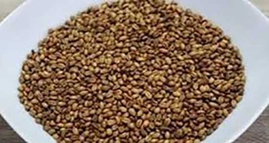 خواص گندم برشته برای کودکان ؛ ایا خوردن گندم برشته برای اطفال مفیده