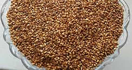 خواص گندم برشته و شاهدانه ؛ خوردن گندم برشته و شاهدانه برای چاقی