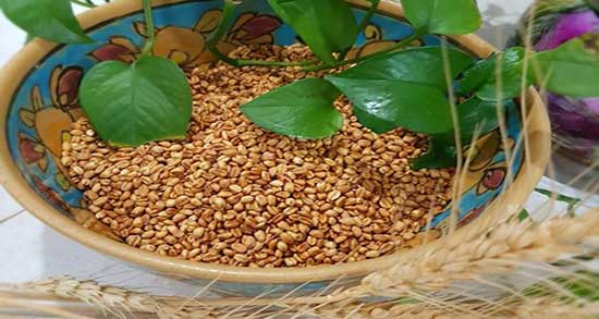 خواص گندم برشته و کلخنگ ؛ مصرف گندم برشته و کلخنگ برای زنان باردار