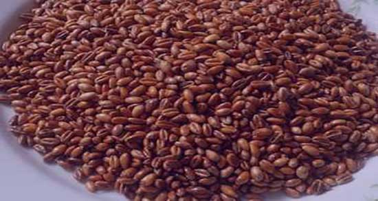خواص گندم بو داده برای لاغری ؛ ایا گندم بو داده برای لاغری مفید است