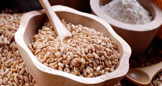 خواص گندم بو داده در بارداری ؛ فواید مصرف گندم بو داده برای زنان باردار