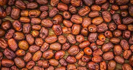 خواص گیاه جوجوبا ؛ فواید مصرف کرم گیاهی جوجوبا مای برای پوست