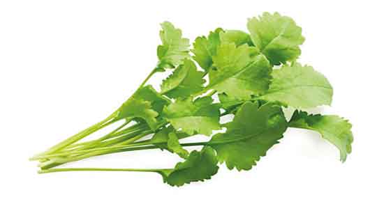 خوردن سبزی شاهی چه حکمی دارد ؛ سبزی شاهی در چه غذاهایی خوبه