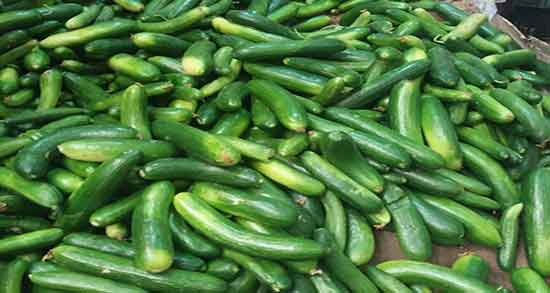 خیار سبز برای سرماخوردگی ؛ درمان عفونت گلو کودکان با خوردن خیار سبز