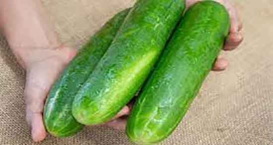 خیار سبز برای معده و فواید مصرف خیار سبز با نمک برای تقویت معده خیار سبز برای معده ؛ فواید مصرف خیار سبز با نمک برای تقویت معده