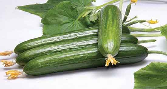 خیار سبز و عسل و ایا ترکیب خیار سبز با عسل برای پوست صورت مفیده خیار سبز و عسل ؛ ایا ترکیب خیار سبز با عسل برای پوست صورت مفیده