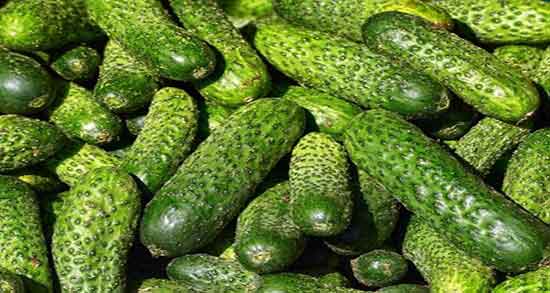 خیار سبز و کرونا و ایا خیار سبز برای جلوگیری از ویروس کرونا خوب است خیار سبز و کرونا ؛ ایا خیار سبز برای جلوگیری از ویروس کرونا خوب است