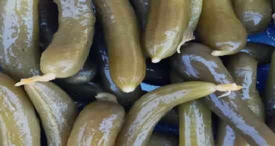 خیار شور برای دیابت ؛ خواص و مضرات خوردن خیار شور برای افراد دیابتی