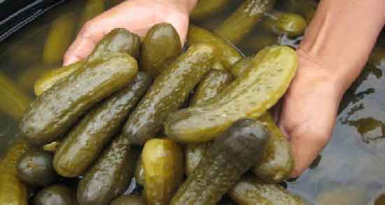 خیار شور برای لاغری و روش مصرف خیار شور برای لاغر شدن خیار شور برای لاغری ؛ روش مصرف خیار شور برای لاغر شدن