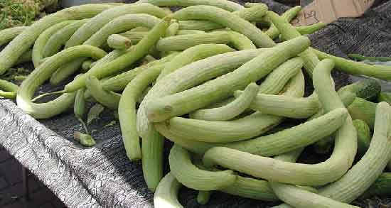 خیار چنبر برای سرماخوردگی و پیشگیری از ابتلا به سرماخوردگی با خوردن خیار چنبر خیار چنبر برای سرماخوردگی ؛ پیشگیری از ابتلا به سرماخوردگی با خوردن خیار چنبر