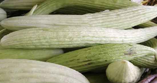 خیار چنبر برای نفخ نوزاد ؛ آیا دادن خیار چنبر به نوزاد باعث نفخ می شود؟