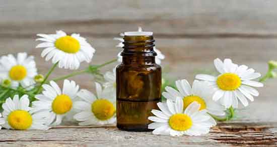 درباره عاقرقرحا ؛ خواص مصرف عاقرقرحا از نظر طب سنتی چیست