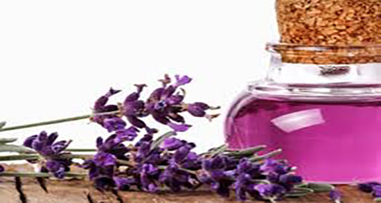 دمنوش اسطوخودوس برای سردرد ؛ فواید دمنوش اسطوخودوس برای میگرن