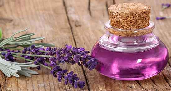 دمنوش اسطوخودوس برای مو ؛ فواید دمنوش اسطوخودوس برای موی سر