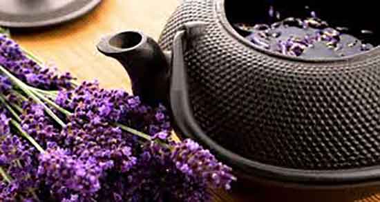 دمنوش اسطوخودوس برای چی خوبه ؛ دمنوش اسطوخودوس برای کلیه