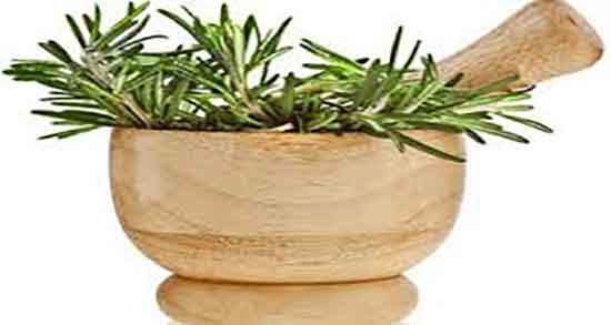 دمنوش رزماری و زنجبیل ؛ خواص دمنوش رزماری و دارچین برای کبد
