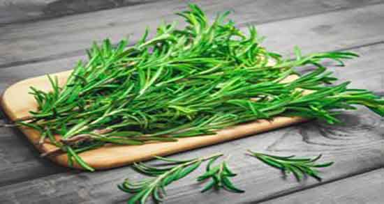دمنوش رزماری و فشار خون ؛ خاصیت دمنوش رزماری برای فشار خون