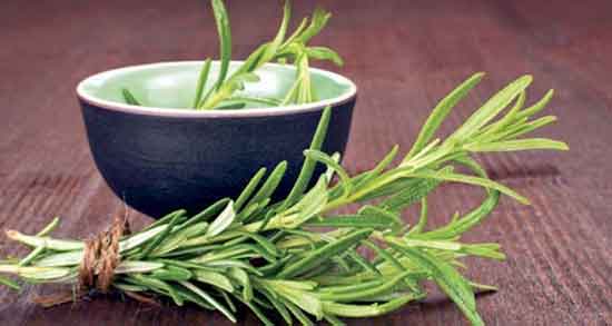 دمنوش رزماری و چای سبز ؛ دمنوش رزماری چای سبز و گل محمدی