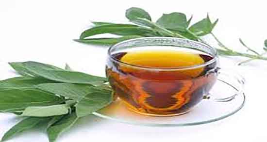 دمنوش مریم گلی در بارداری ؛ فواید دمنوش مریم گلی برای زنان باردار