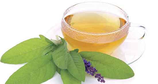 دمنوش مریم گلی و بادرنجبویه ؛ ایا مریم گلی و بادرنجبویه برای بدن مفیده