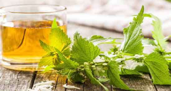 دمنوش گزنه برای زنان باردار و خواص و مضرات مصرف دمنوش گزنه در بارداری دمنوش گزنه برای زنان باردار ؛ خواص و مضرات مصرف دمنوش گزنه در بارداری