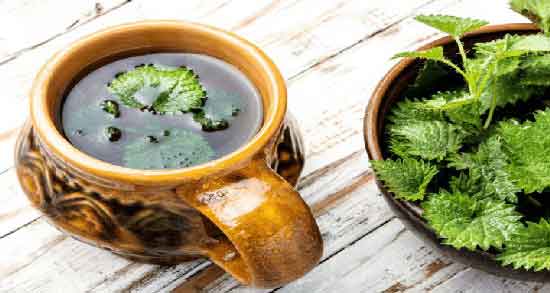 دمنوش گزنه در شیردهی ؛ تاثیر مصرف دمنوش گزنه برای شیر مادر