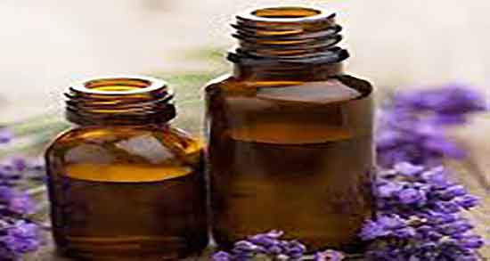 روغن اسطوخودوس برای پسرزایی ؛ اسطوخودوس و پسرزایی نی نی سایت
