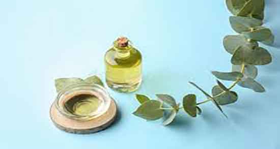 روغن اکالیپتوس برای جوش صورت ؛ فواید روغن اکالیپتوس برای لک پوستی