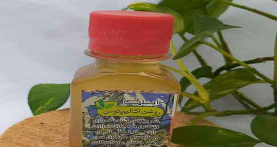 روغن اکالیپتوس برای سردرد ؛ فواید روغن اکالیپتوس برای درمان میگرن