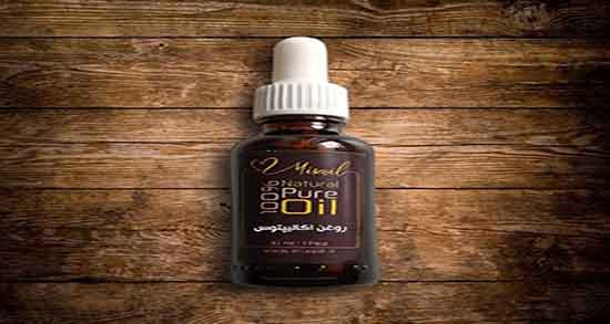 روغن اکالیپتوس برای شپش ؛ فواید روغن اکالیپتوس برای رفع شپش سر