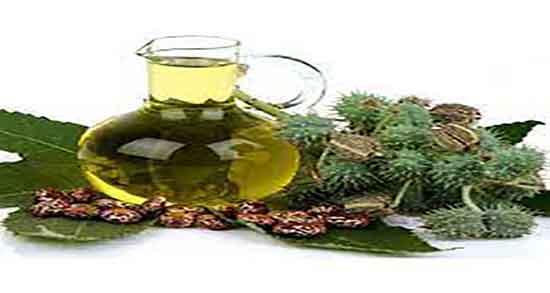 روغن اکالیپتوس برای لثه و خاصیت روغن اکالیپتوس برای سفت شدن لثه