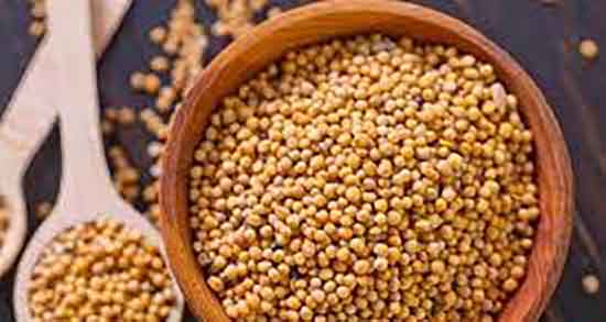 روغن خردل برای زود انزالی ؛ خاصیت روغن خردل برای درمان زود انزالی
